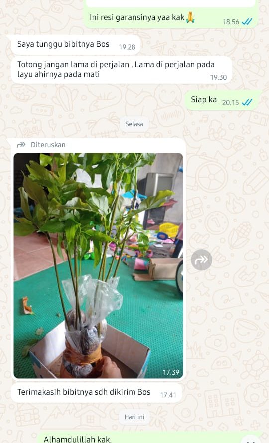 WhatsApp-Image-2024-12-02-at-17.02.27-2-e1733179764495.jpeg